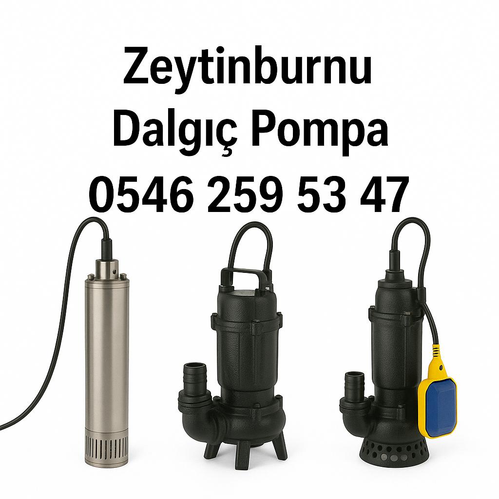 Zeytinburnu Dalgıç Pompa Servisi